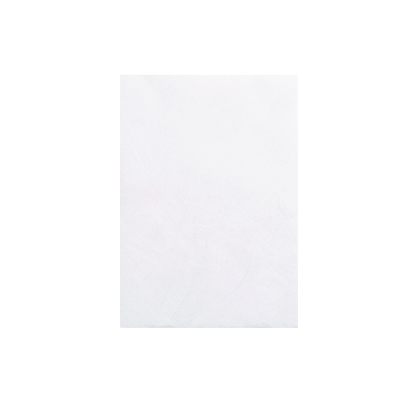 TYVEK PEAL/SEAL ENV C5 WHT PK100